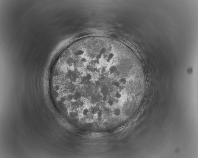 X0000116860149201001191709