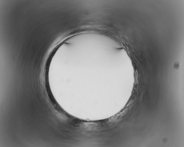 X0000116860150201001191709