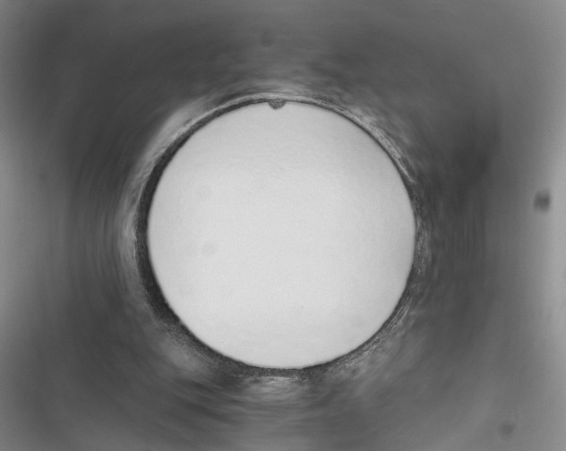 X0000116860151201001191709