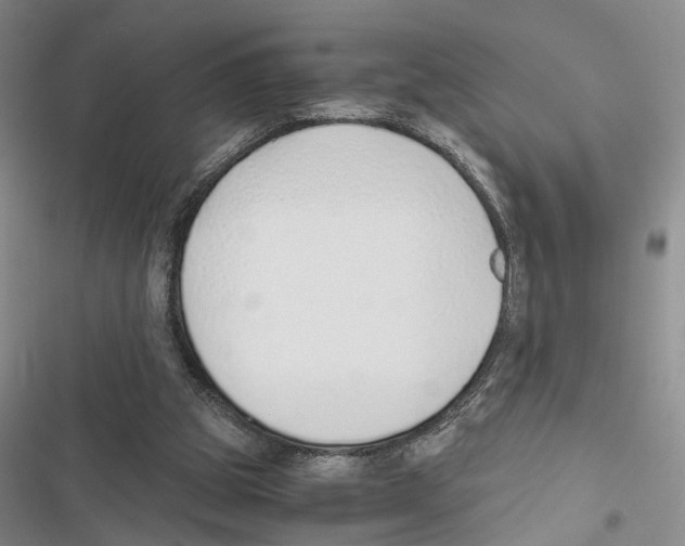 X0000116860153201001191709