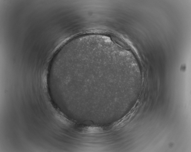 X0000116860154201001191709