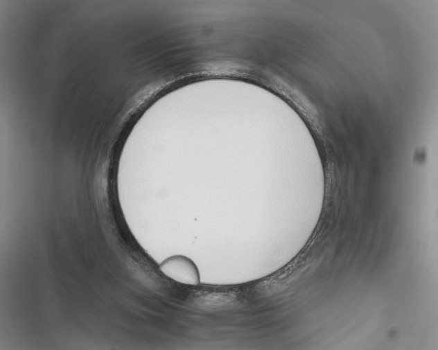 X0000116860155201001191709