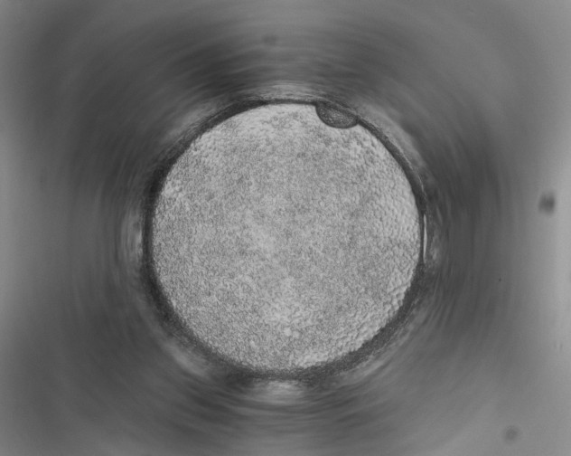 X0000116860157201001191709