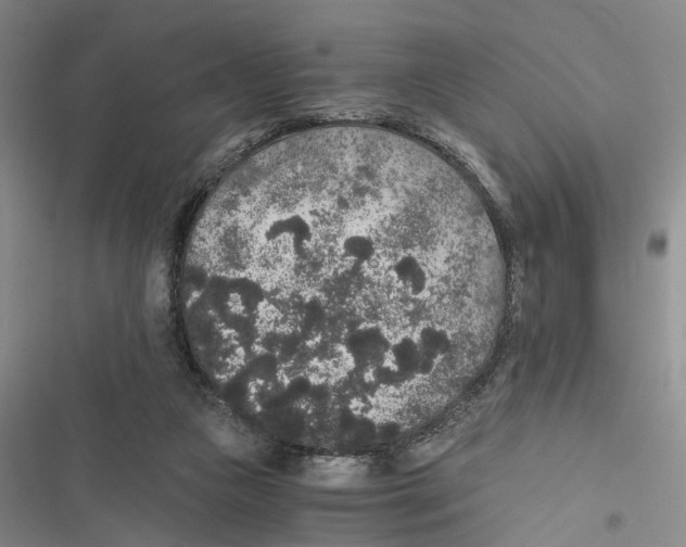 X0000116860161201001191709