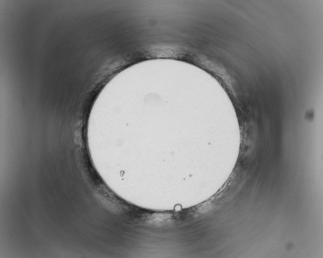 X0000116860162201001191709