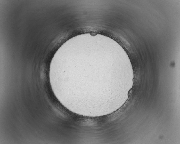 X0000116860166201001191709