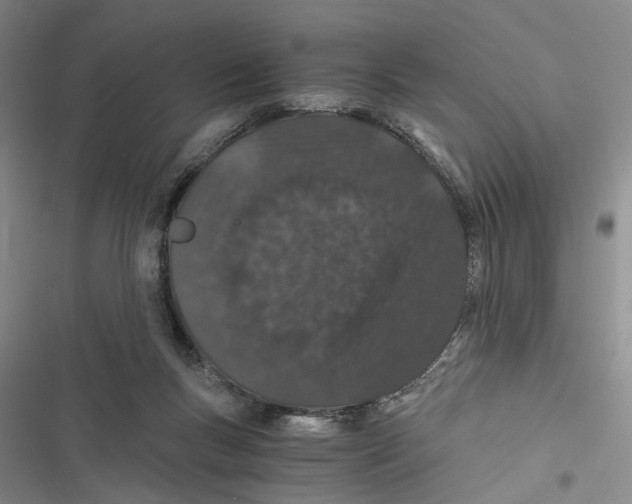 X0000116860167201001191709