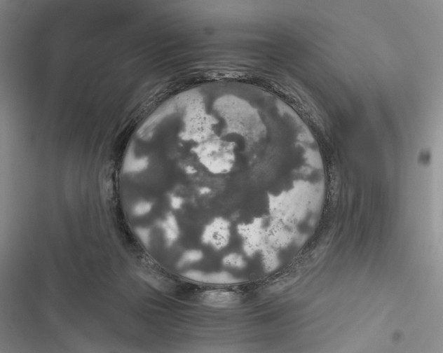 X0000116860169201001191709