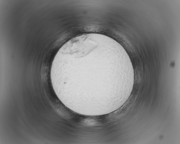 X0000116860171201001191709