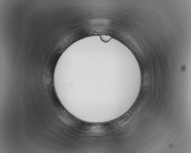 X0000116860173201001191709