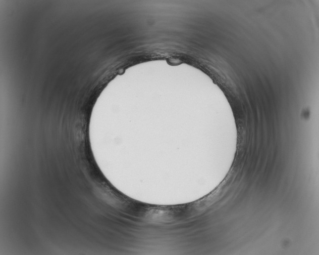 X0000116860174201001191709