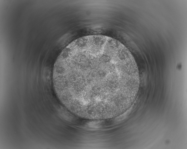 X0000116860178201001191709