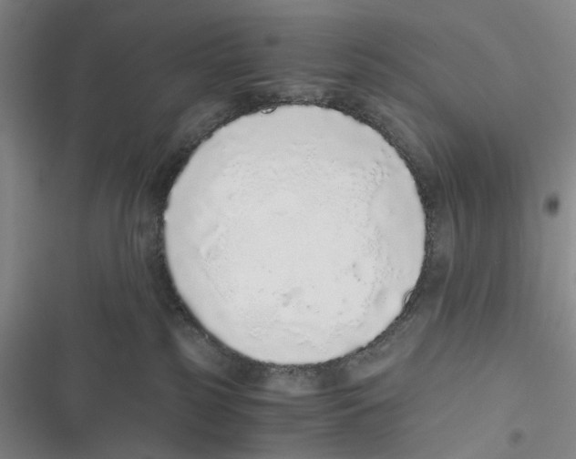 X0000116860185201001191709