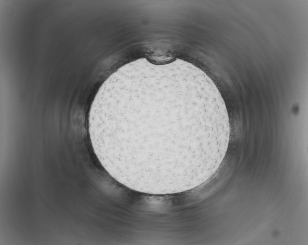 X0000116860187201001191709