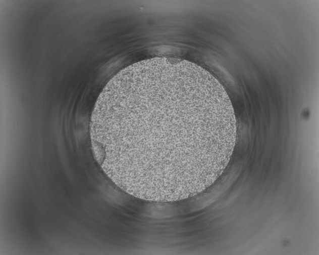 X0000116860189201001191709