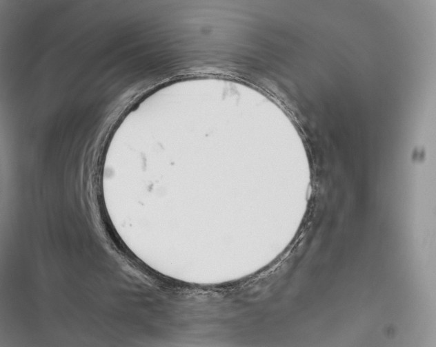 X0000116860193201001191709