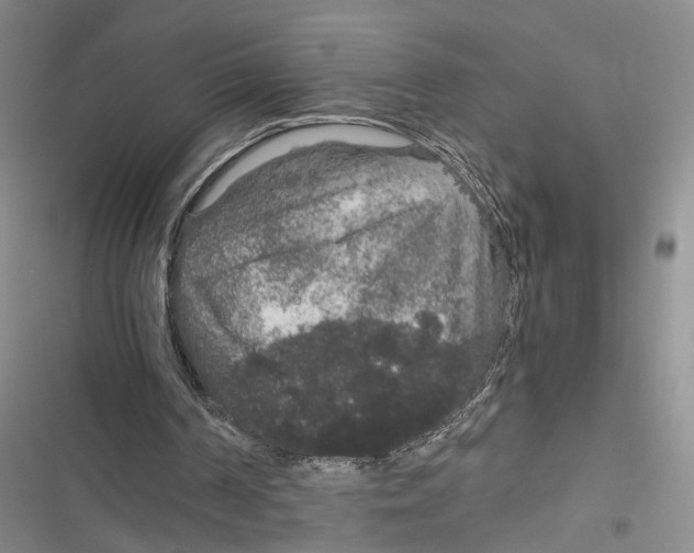 X0000116860194201001191709