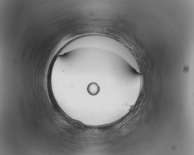 X0000116860195201001191709