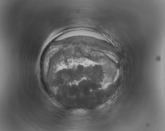 X0000116860198201001191709