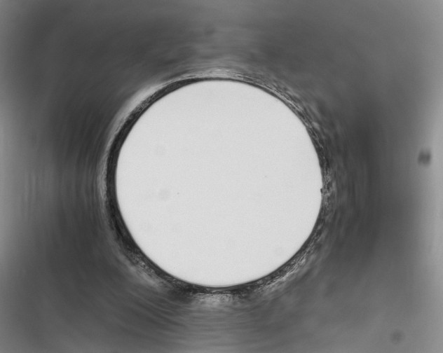 X0000116860200201001191709