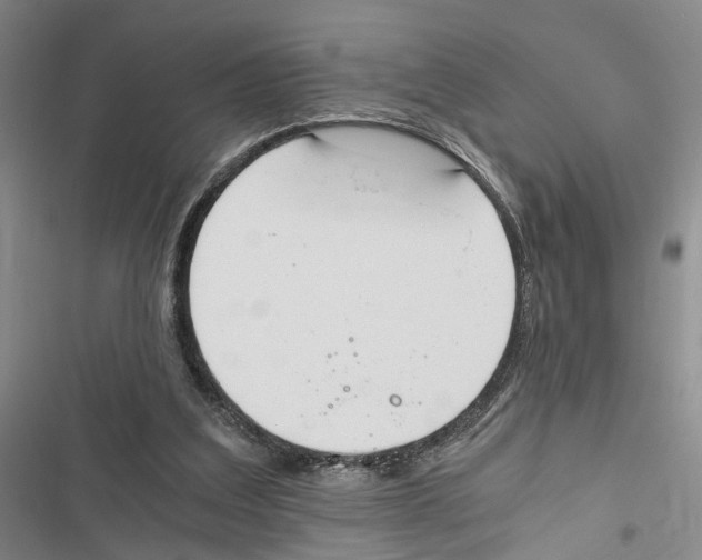 X0000116860203201001191709