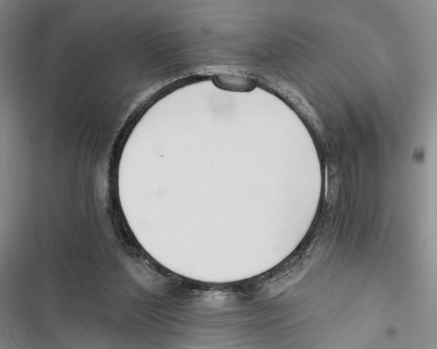 X0000116860204201001191709