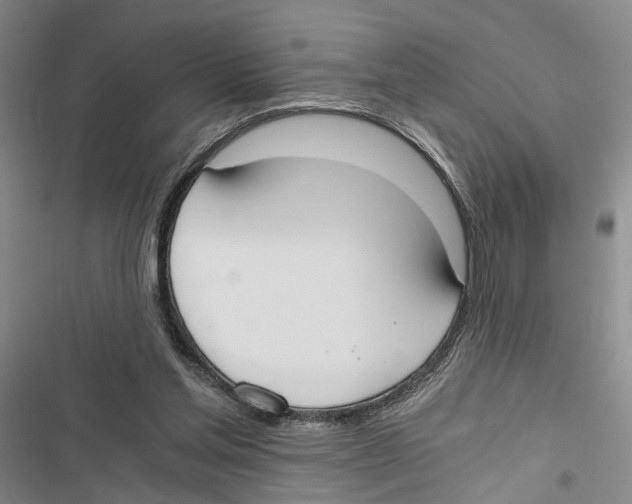 X0000116860205201001191708