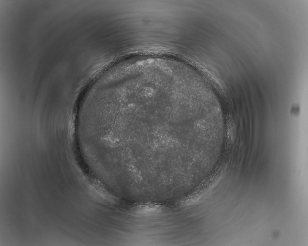 X0000116860206201001191708