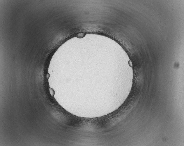 X0000116860207201001191708