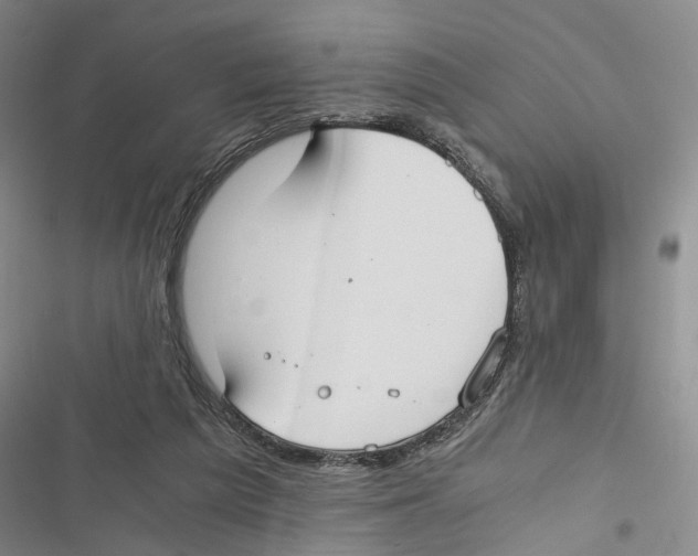 X0000116860209201001191708