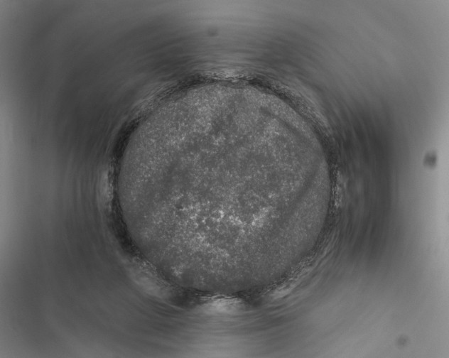 X0000116860210201001191708