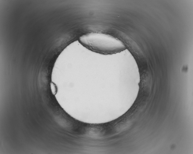 X0000116860215201001191708