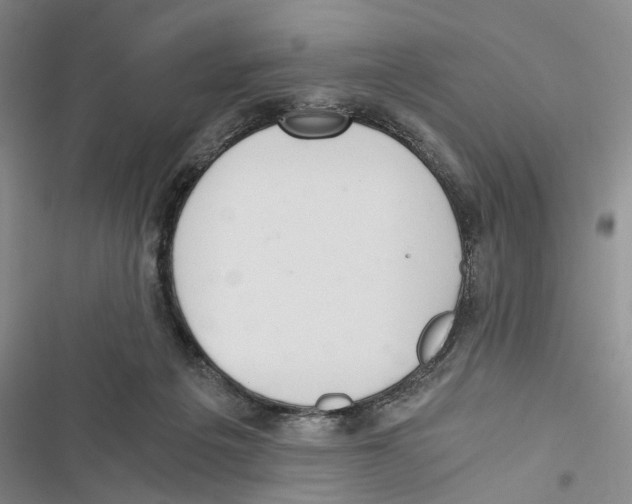 X0000116860217201001191708