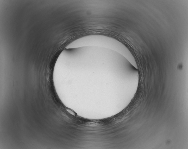 X0000116860219201001191708