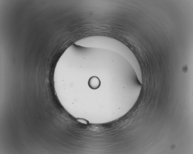 X0000116860221201001191708