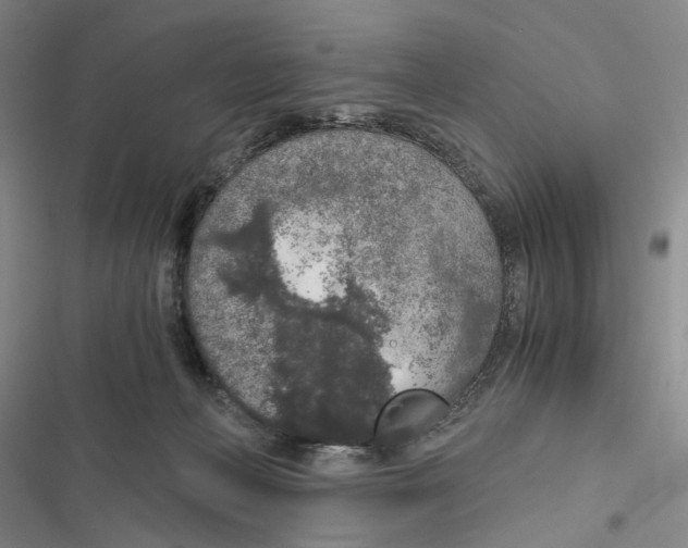 X0000116860222201001191708