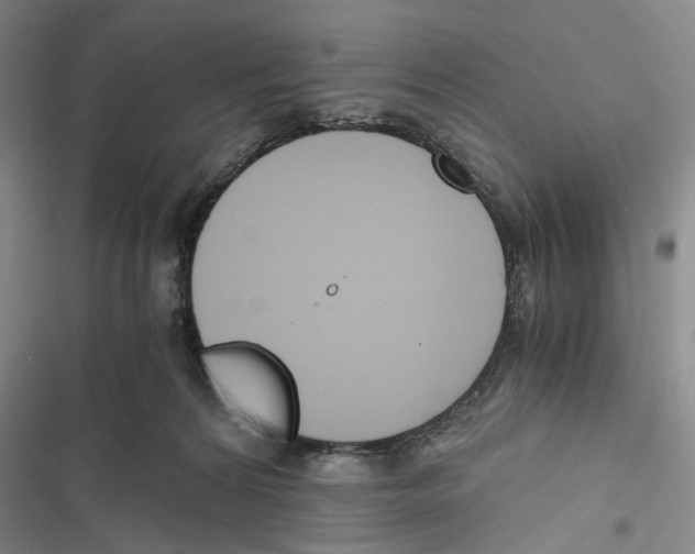 X0000116860224201001191708