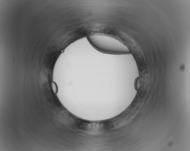 X0000116860225201001191708