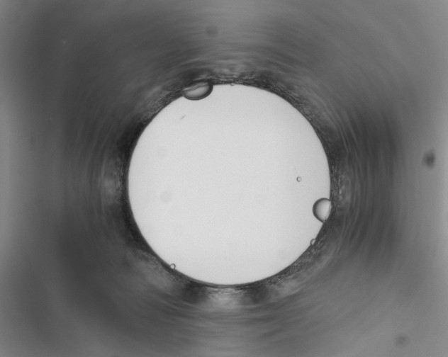 X0000116860226201001191708