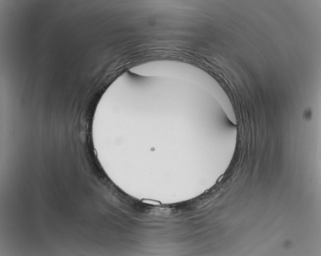 X0000116860227201001191708