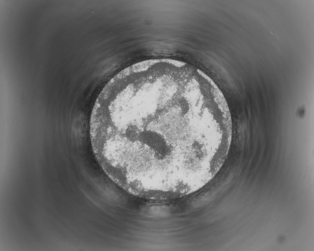 X0000116860228201001191708