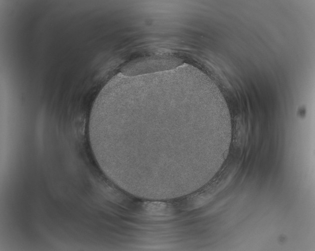 X0000116860230201001191708