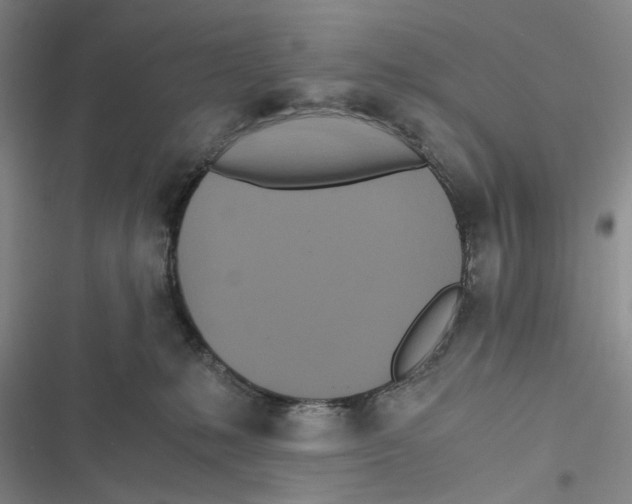 X0000116860231201001191708