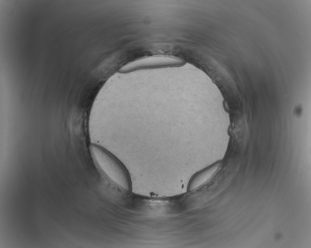 X0000116860233201001191708