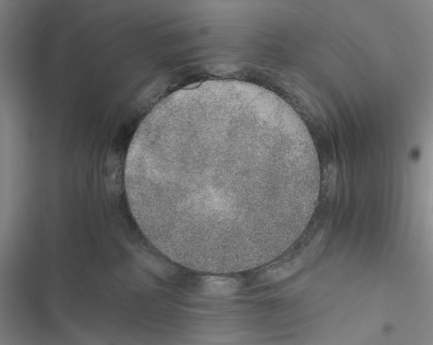 X0000116860234201001191708