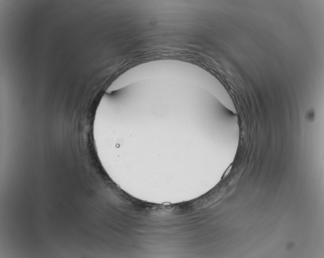 X0000116860235201001191708