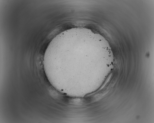 X0000116860237201001191708