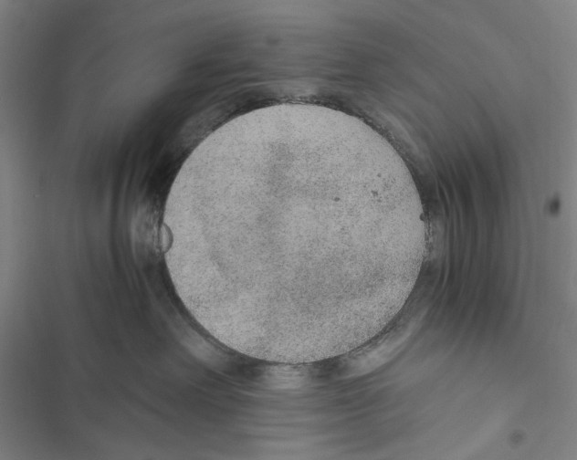 X0000116860238201001191708