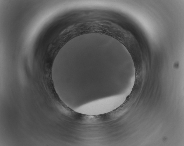 X0000116860239201001191708