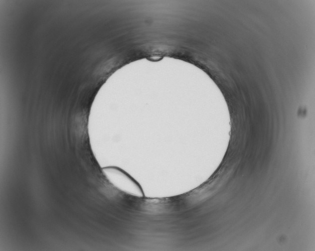 X0000116860240201001191708